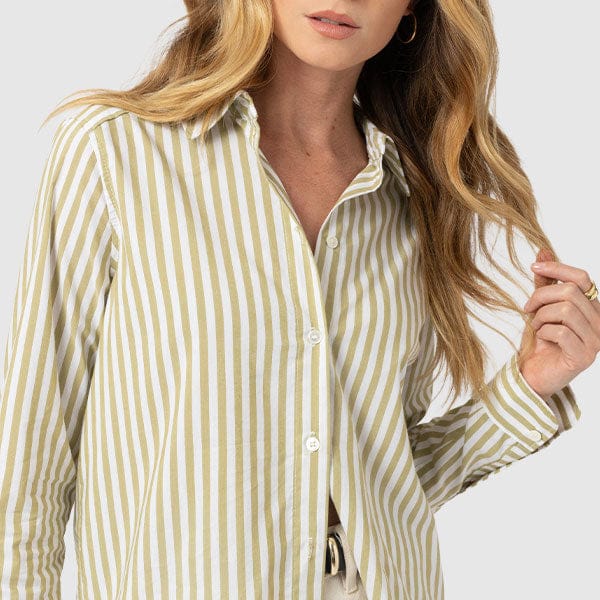 Oxford Poplin