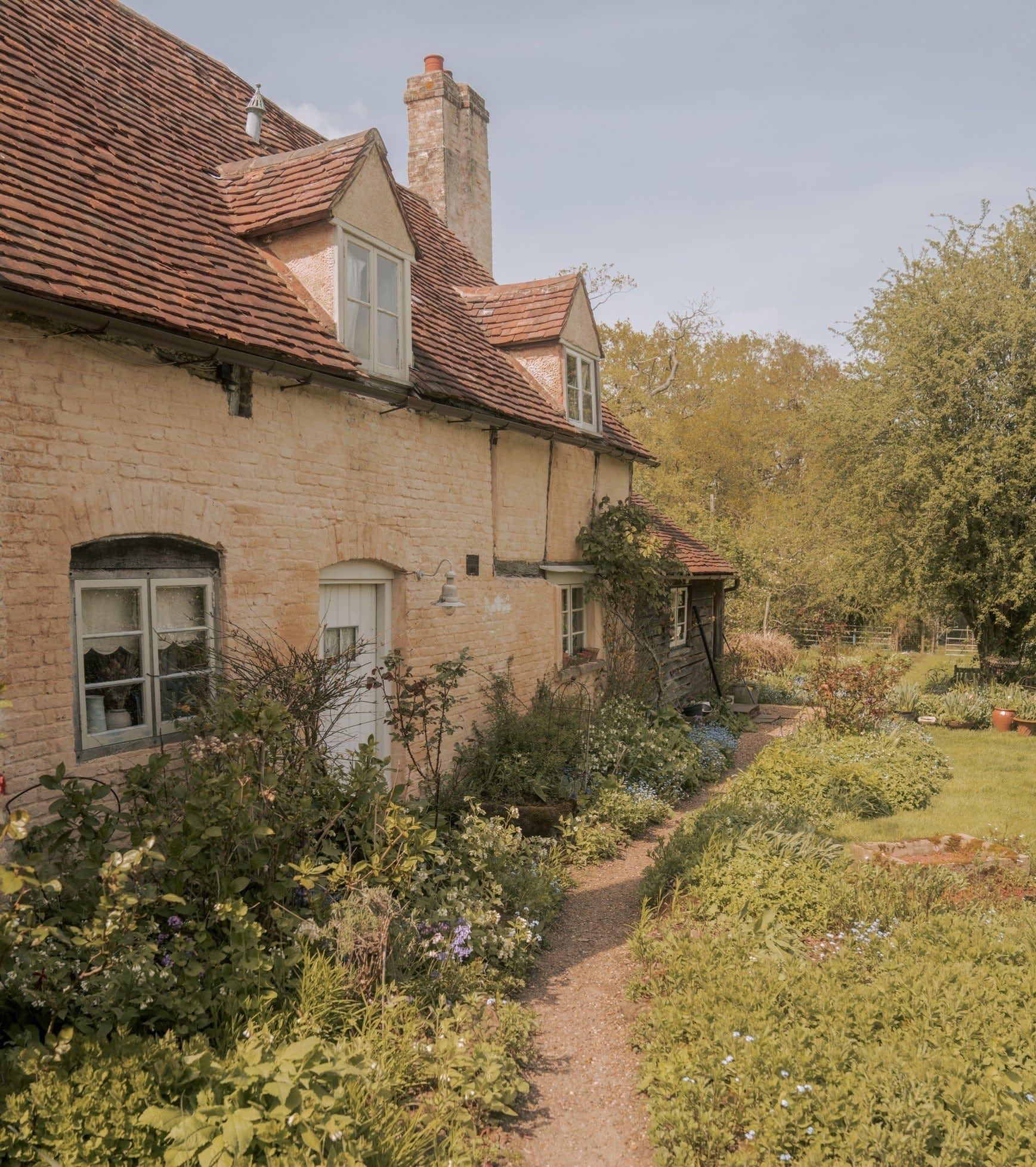 Saint & Sofia - Lavender Lane