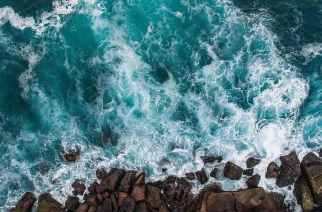 Saint & Sofia - Sustainability