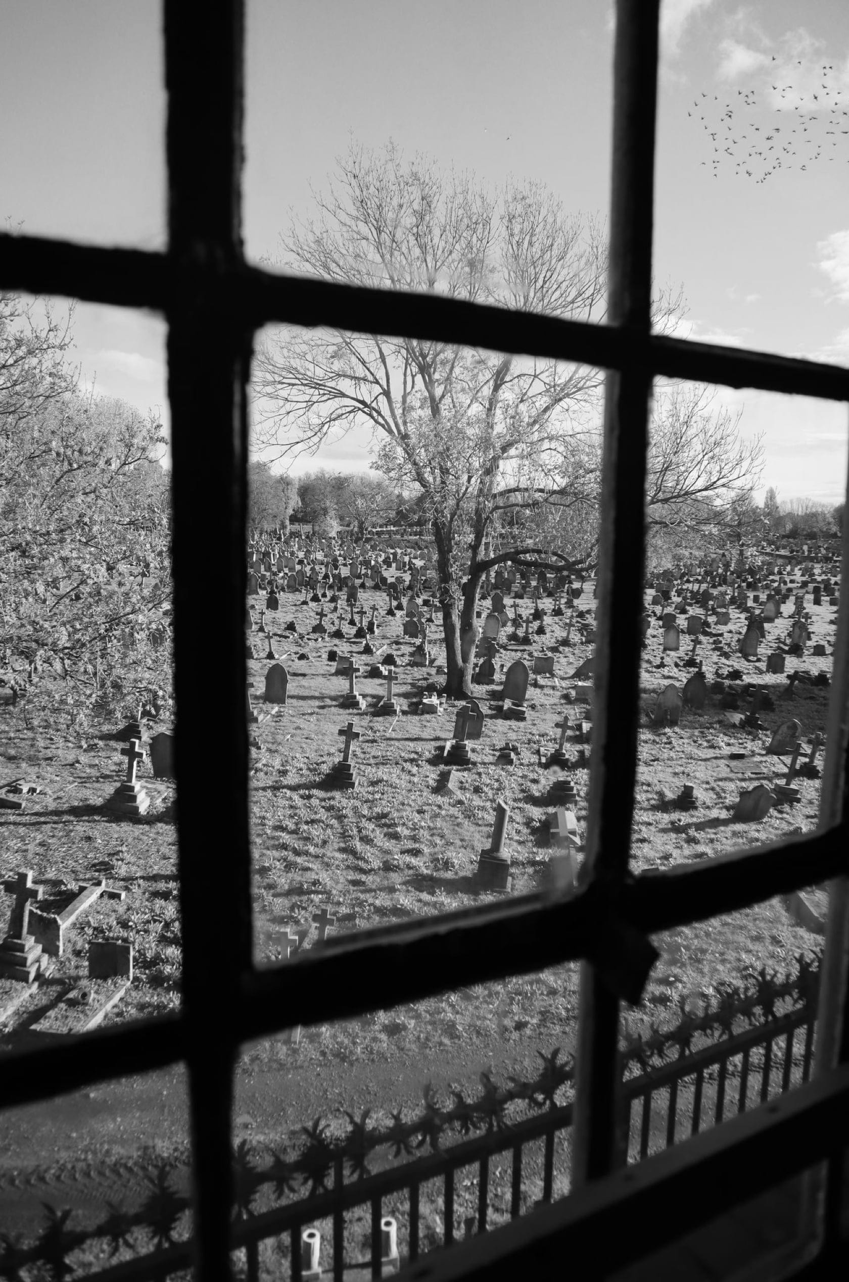 Saint & Sofia - Odyssey | A/W 22 Fashion Campaign | Saint + Sofia® UK