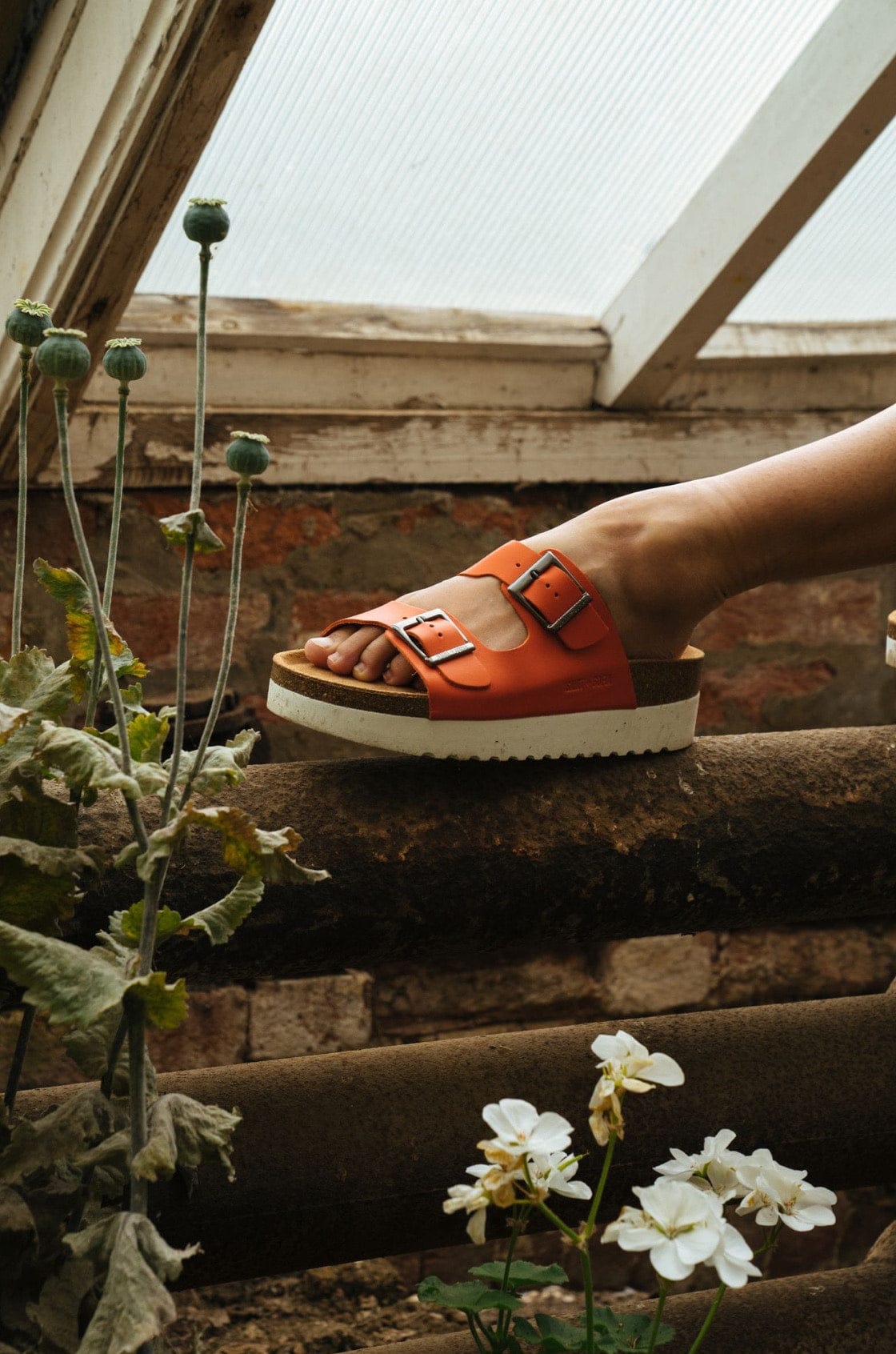 Saint & Sofia - Wonderland