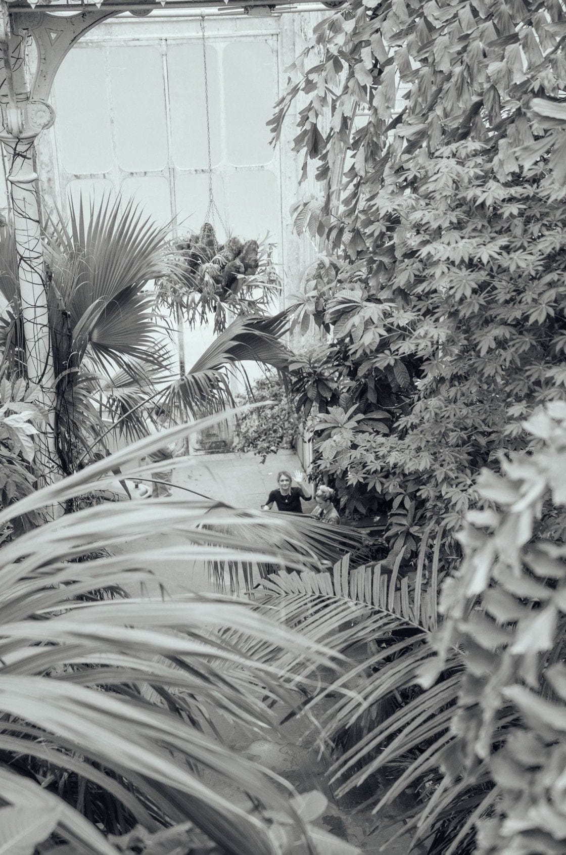 Saint & Sofia - The Botanist