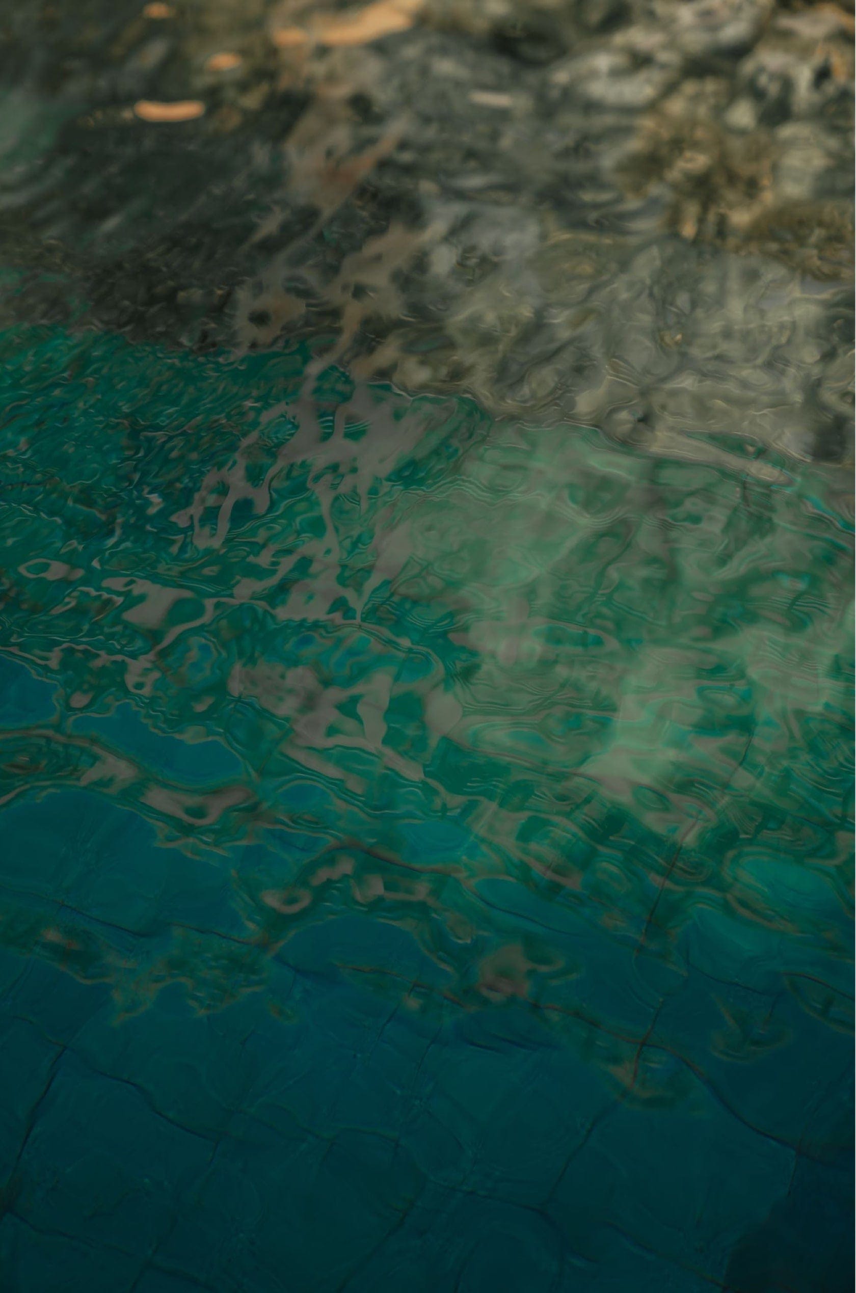 Saint & Sofia - Paradiso