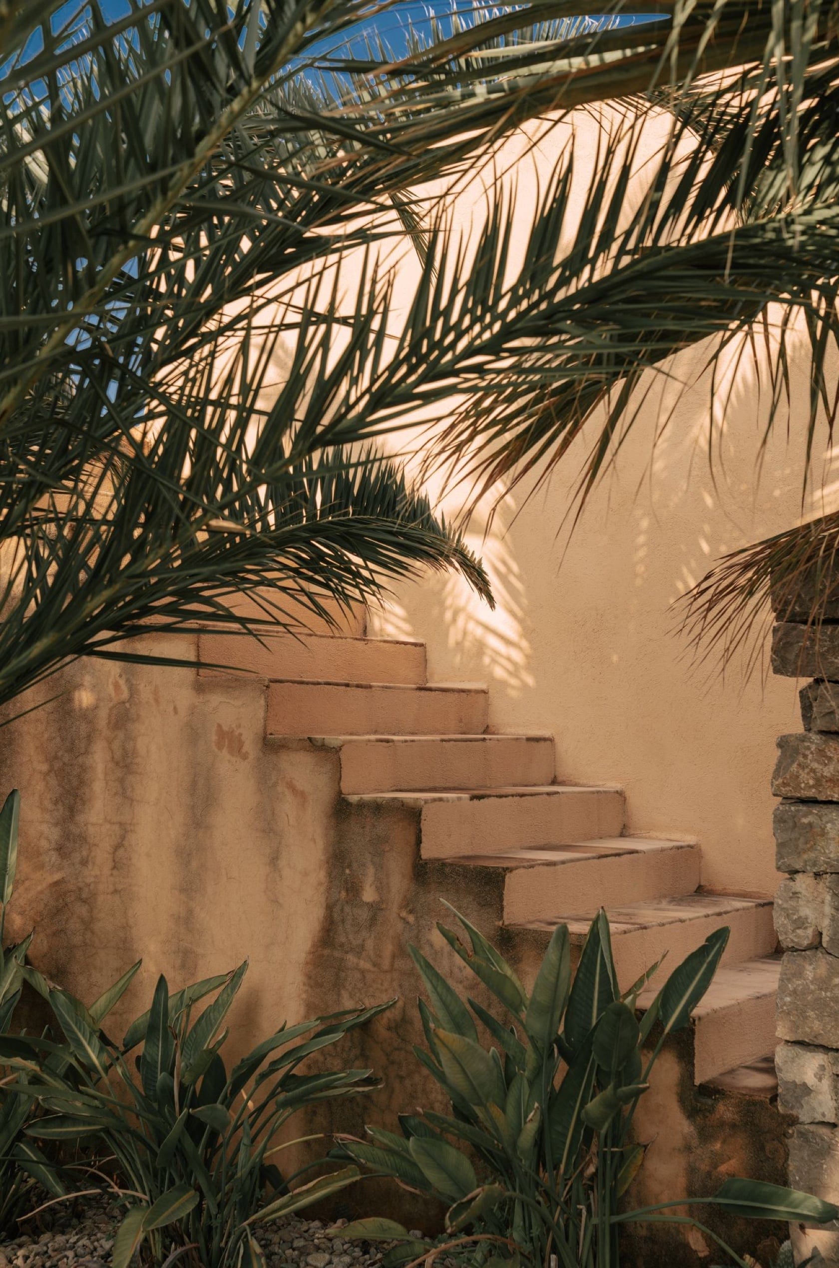 Saint & Sofia - Paradiso