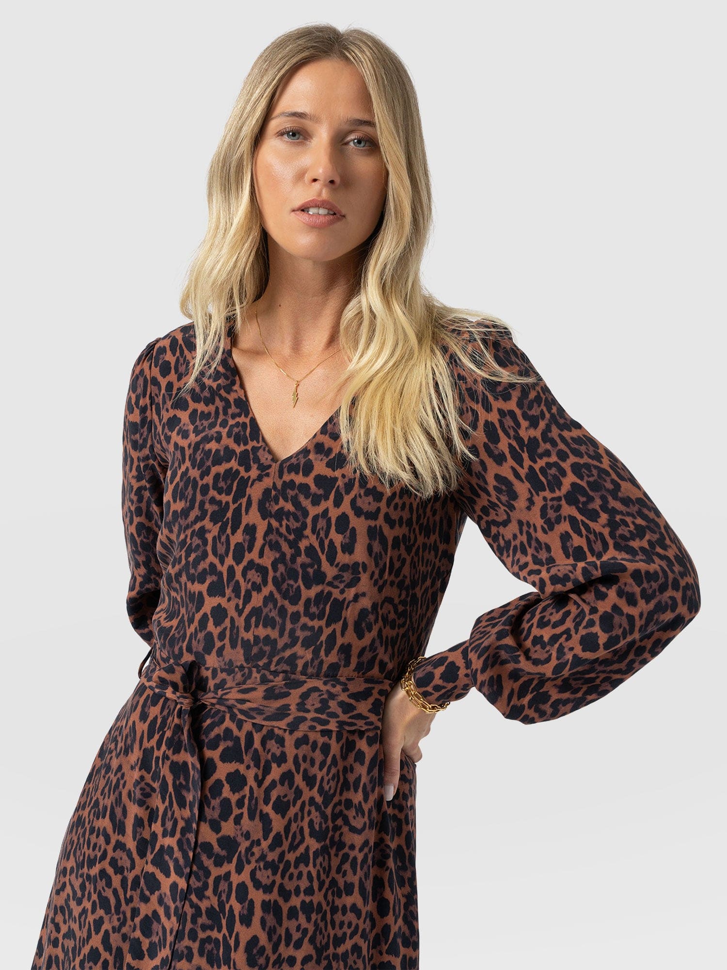 Allegra V Neck Dress - Brown Leopard